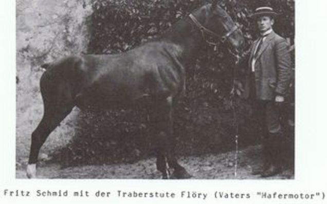 Tierarzt mit Pferd Säriswil bei Bern